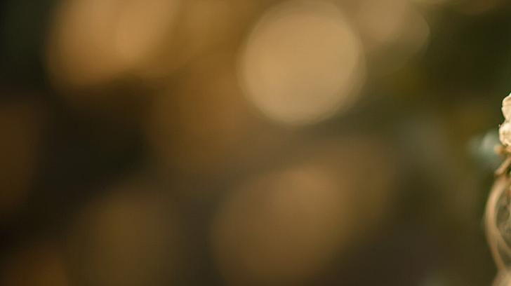 Бесплатный ИИ генератор